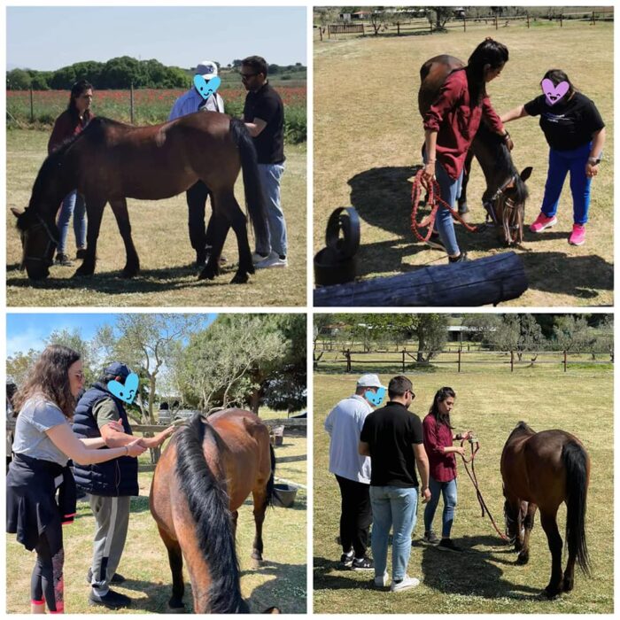 Επίσκεψη στο RK Ranch Kyriakou – Ράντσο Κυριακού 🏡🐎