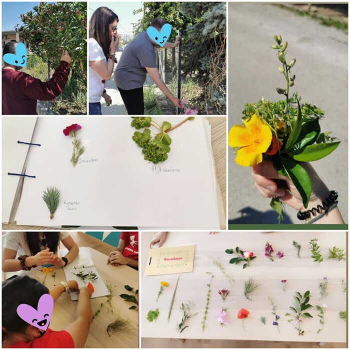 ΘΕΜΑΤΙΚΗ ΕΒΔΟΜΑΔΑ -> ΦΥΣΙΚΟ ΠΕΡΙΒΑΛΛΟΝ 🌳🏔️🌊
