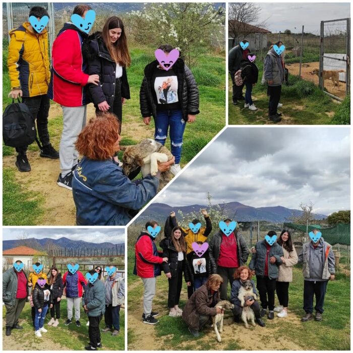 Παγκόσμια Ημέρα Αδέσποτων Ζώων 🐕 | 4 Απριλίου
