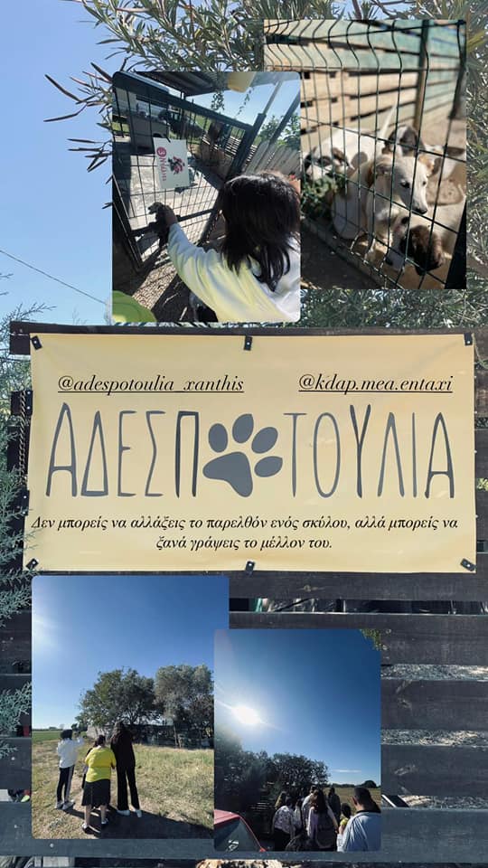 Επίσκεψη σε Καταφύγιο Αδέσποτων Ζώων 🐾 🆘