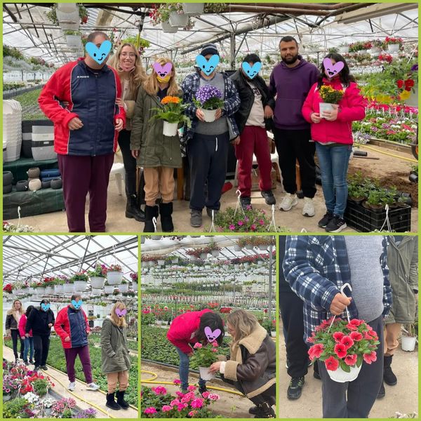 🌻 Επίσκεψη σε Φυτώριο 🌻