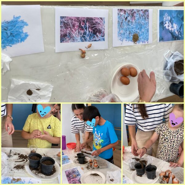 🌿 Περιβαλλοντικό Εργαστήριο 🌿