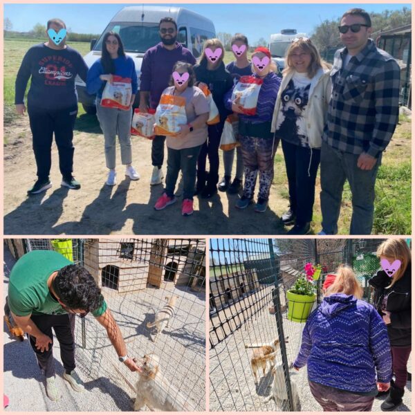 Διεθνής Ημέρα Αδέσποτων Ζώων 🐕 | 4 Απριλίου
