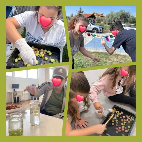 Το Σταφύλι και ο Τρύγος 🍇